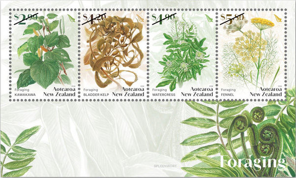 小全张 (NZ00362)