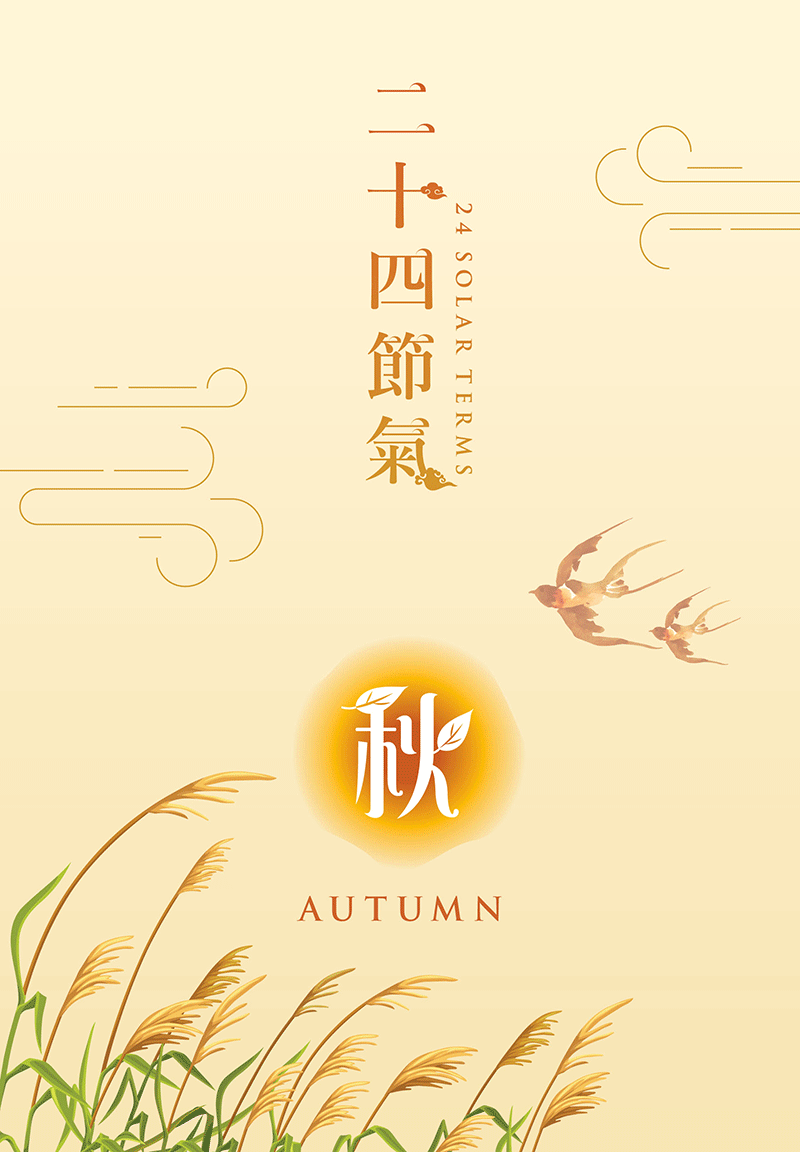 套摺