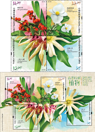 香港珍稀植物