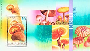 Fungi Fungi