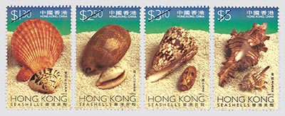 香港貝殼
