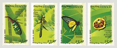 香港昆蟲 香港昆蟲